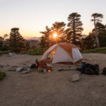 How to Choose a Summer Camp: Pick the Perfect One