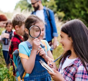 summer camp show ideas this year